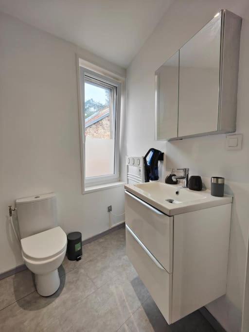 La Feline - Duplex - Vieux Valenciennes - Familial Leilighet Eksteriør bilde